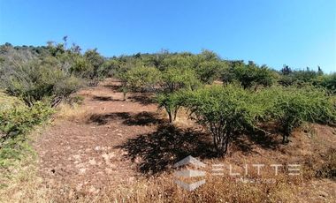 Parcela en Venta en (KRM)Parcela 1.2 ha| Lomaje suave para edificación| Condominio|Factibilidad de Luz y agua|Seguridad 24/7