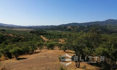 Parcela en Venta en (KRM)Parcela 1.2 ha| Lomaje suave para edificación| Condominio|Factibilidad de Luz y agua|Seguridad 24/7