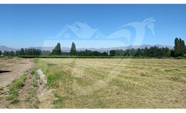 Terreno rural en venta límite Calle Larga-Los Andes