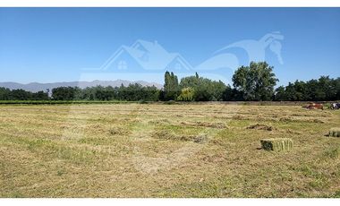 Terreno rural en venta límite Calle Larga-Los Andes