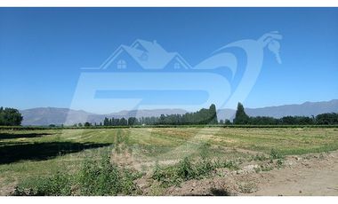 Terreno rural en venta límite Calle Larga-Los Andes