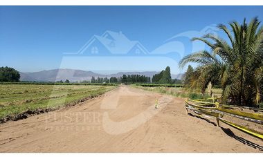 Terreno rural en venta límite Calle Larga-Los Andes