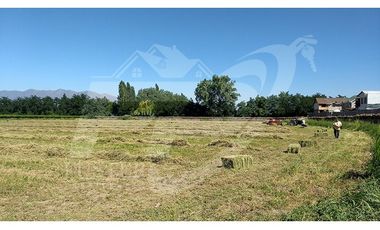 Terreno rural en venta límite Calle Larga-Los Andes