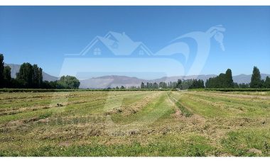 Terreno rural en venta límite Calle Larga-Los Andes