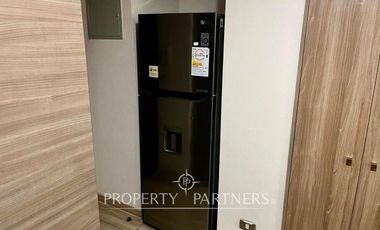 Acogedor y céntrico departamento en Viña del Mar