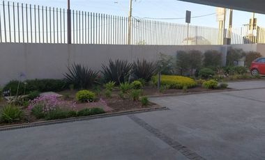 Departamento en Venta en Av. Borgoño / San Fabian