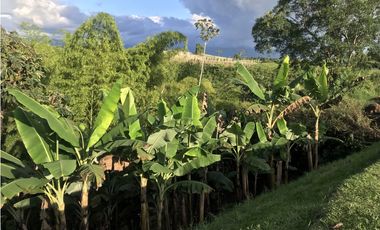 VENTA CASA CAMPESTRE CJTO CERRADO VIA MONTENEGRO QUINDIO