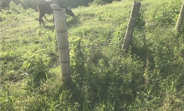 VENTA CASA CAMPESTRE CJTO CERRADO VIA MONTENEGRO QUINDIO