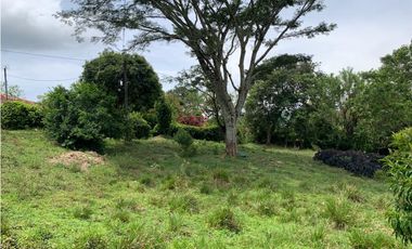 Venta de Lote Para Proyecto Inversión Venecia Antioquia Ubicación
