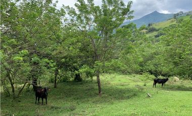 Venta de Lote Para Proyecto Inversión Venecia Antioquia Ubicación
