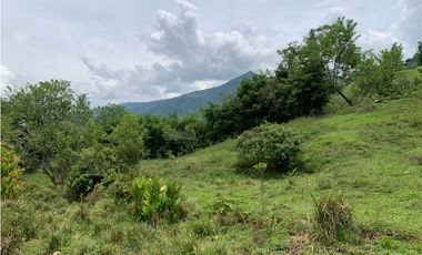 Venta de Lote Para Proyecto Inversión Venecia Antioquia Ubicación