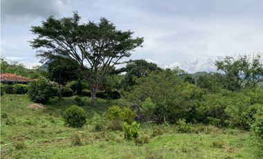 Venta de Lote Para Proyecto Inversión Venecia Antioquia Ubicación