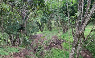 Venta de Lote Para Proyecto Inversión Venecia Antioquia Ubicación