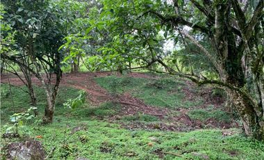 Venta de Lote Para Proyecto Inversión Venecia Antioquia Ubicación