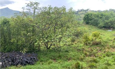 Venta de Lote Para Proyecto Inversión Venecia Antioquia Ubicación