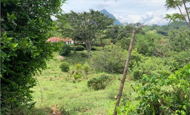 Venta de Lote Para Proyecto Inversión Venecia Antioquia Ubicación