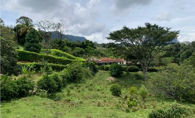 Venta de Lote Para Proyecto Inversión Venecia Antioquia Ubicación