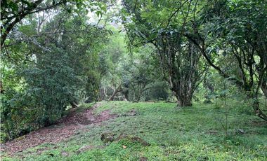 Venta de Lote Para Proyecto Inversión Venecia Antioquia Ubicación