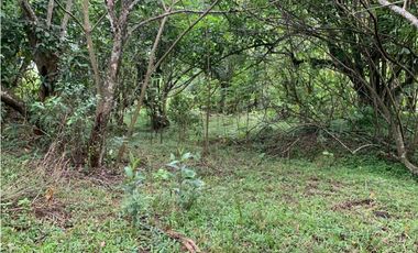 Venta de Lote Para Proyecto Inversión Venecia Antioquia Ubicación