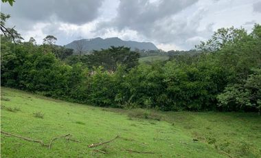 Venta de Lote Para Proyecto Inversión Venecia Antioquia Ubicación