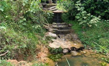 Venta de Lote Para Proyecto Inversión Venecia Antioquia Ubicación