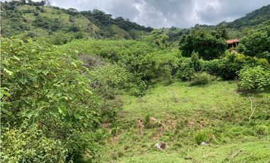 Venta de Lote Para Proyecto Inversión Venecia Antioquia Ubicación