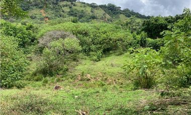 Venta de Lote Para Proyecto Inversión Venecia Antioquia Ubicación