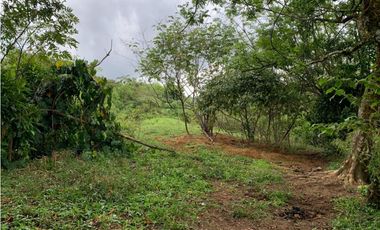 Venta de Lote Para Proyecto Inversión Venecia Antioquia Ubicación