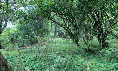 Venta de Lote Para Proyecto Inversión Venecia Antioquia Ubicación