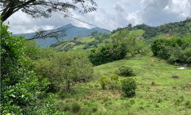 Venta de Lote Para Proyecto Inversión Venecia Antioquia Ubicación