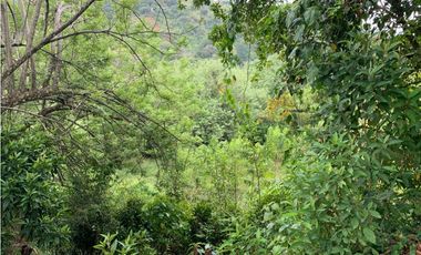 Venta de Lote Para Proyecto Inversión Venecia Antioquia Ubicación