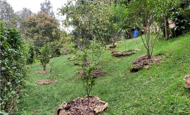 Venta de Hermosa Casa Finca Independiente en Rionegro