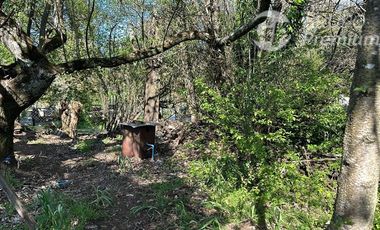 Sitio en Venta en Cercana a la Plaza de Hualqui