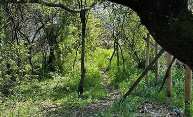 Sitio en Venta en Cercana a la Plaza de Hualqui
