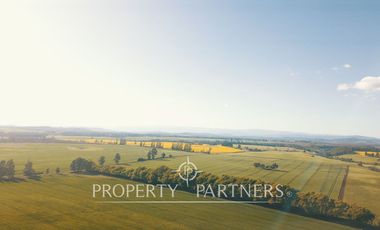 Magnifico y gran campo en venta en Traiguén.