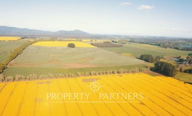 Magnifico y gran campo en venta en Traiguén.