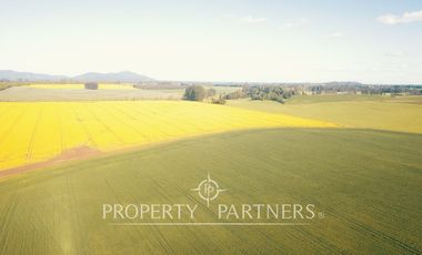 Magnifico y gran campo en venta en Traiguén.