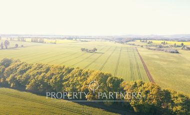 Magnifico y gran campo en venta en Traiguén.