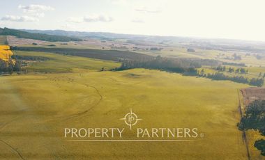 Magnifico y gran campo en venta en Traiguén.