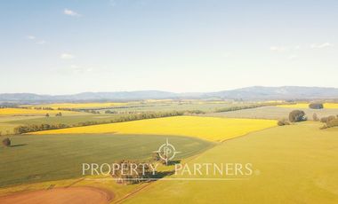 Magnifico y gran campo en venta en Traiguén.