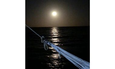 VENTA Isla en Barú, Barbacoas.