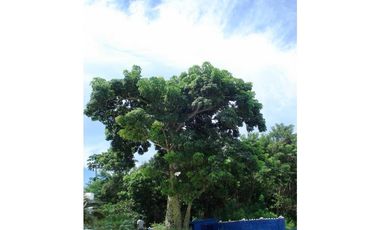 VENTA Isla en Barú, Barbacoas.