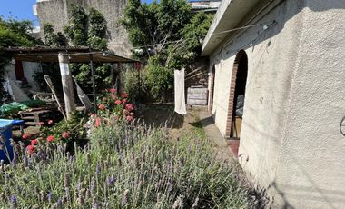 Casa - Wilde