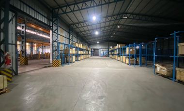 Alquiler Galpón 4725 m2 - Parque Industrial Alvear