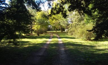 Casa en  venta 115 bis e/ 404 y 407