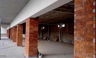 Locales en Renta en Plaza Sona Center