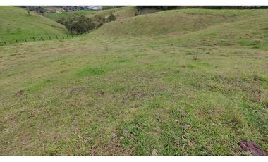 Venta Lote Zona Alta Valorización Buen Area y Vistas Capiro