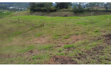 Venta Lote Zona Alta Valorización Buen Area y Vistas Capiro