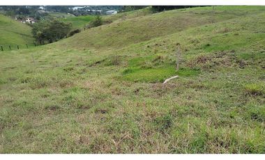 Venta Lote Zona Alta Valorización Buen Area y Vistas Capiro