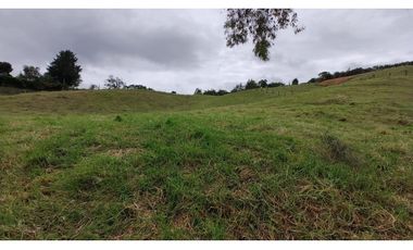 Venta Lote Zona Alta Valorización Buen Area y Vistas Capiro